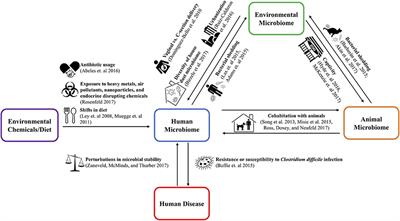 One Health Relationships Between Human, Animal, and Environmental Microbiomes: A Mini-Review